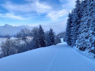 Back dans les Brasses