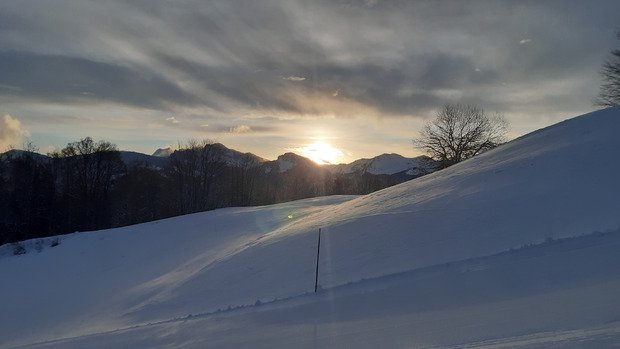 Back dans les Brasses