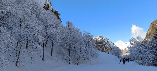 Bon voire tr&egrave;s bon, mais pas facile &agrave; skier