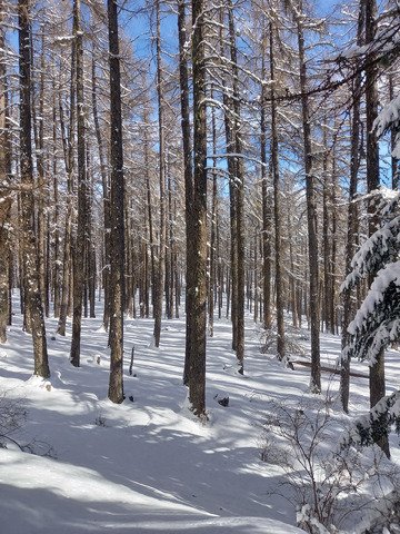Poudre, vent et solitude au Mont Guillaume 😊