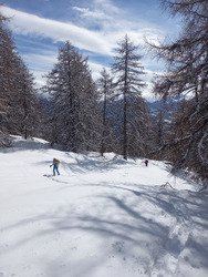 Poudre, vent et solitude au Mont Guillaume 😊