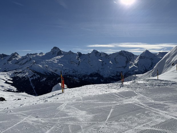 Le printemps arrive, la s&egrave;ve monte et la temp&eacute;rature aussi ☀️