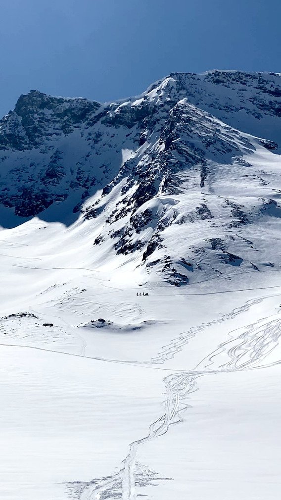 Journ&eacute;e d&rsquo;homosapien en solo 🐵☀️❄️