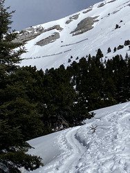 Une belle avalanche de lourde sur Chamechaude&hellip; 