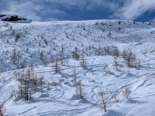 De la fra&icirc;che !