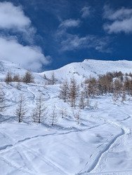 De la fra&icirc;che !