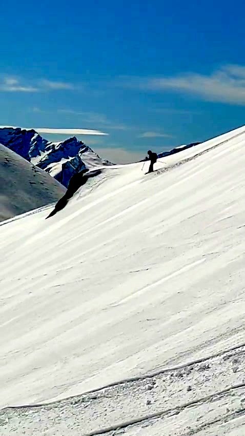 Combe du Loup pour le panorama ! 🤩