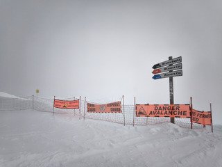 Joli coup de blanc !