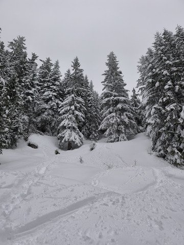 Joli coup de blanc !