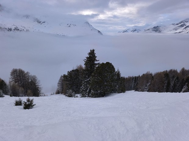 Joli coup de blanc !