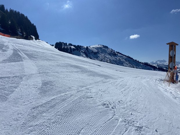 Pas si mal au final ❄️☀️