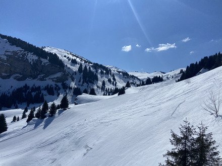 Pas si mal au final ❄️☀️