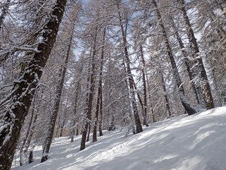 La matin&eacute;e a ne pas louper !