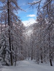 La matin&eacute;e a ne pas louper !