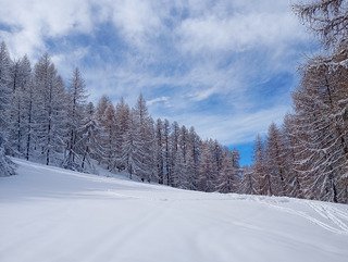 La matin&eacute;e a ne pas louper !
