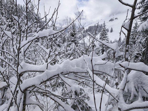 Fen&ecirc;tre sur poudre