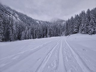 Fen&ecirc;tre sur poudre