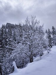 Fen&ecirc;tre sur poudre