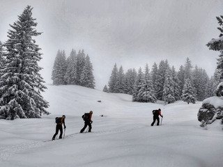 Fen&ecirc;tre sur poudre