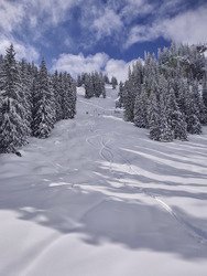 Fen&ecirc;tre sur poudre