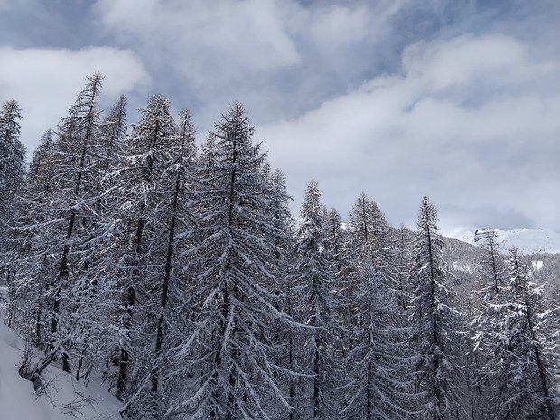 La poudre printani&egrave;re 