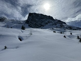 Un beau score de tests du Vieux