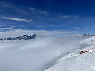 Un beau score de tests du Vieux