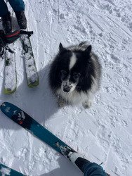 3 jours &agrave; Chamonisme
