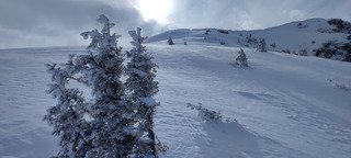 Journ&eacute;e un peu frustrante mais tip-top quand m&ecirc;me ! 