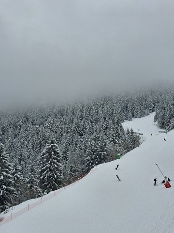 Apr&egrave;s les conditions compliqu&eacute;es du matin mais toujours dans le brouillard 