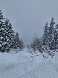 Apr&egrave;s les conditions compliqu&eacute;es du matin mais toujours dans le brouillard 