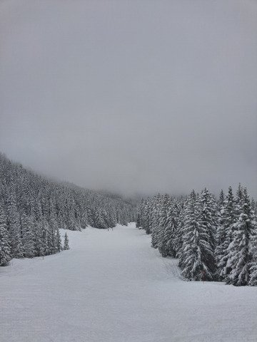 Apr&egrave;s les conditions compliqu&eacute;es du matin mais toujours dans le brouillard 