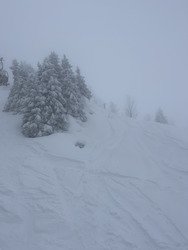 Poudre dans la pur&eacute;e de pois