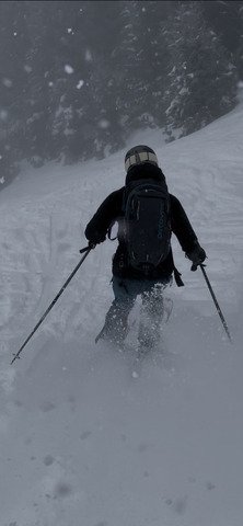 Poudre dans la pur&eacute;e de pois
