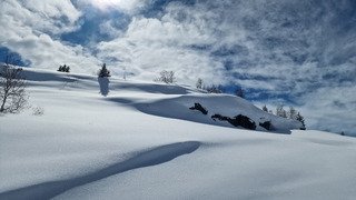 quint&eacute; gagnant