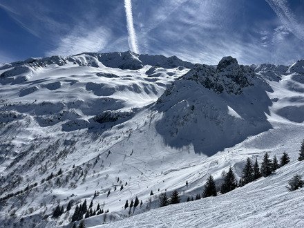 Pouta, c'est vachement bien *