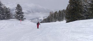 M&eacute;t&eacute;o mitig&eacute;e, poudre extra (qui s'alourdit) et pas un chat