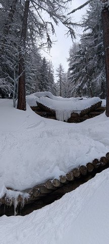 M&eacute;t&eacute;o mitig&eacute;e, poudre extra (qui s'alourdit) et pas un chat