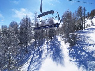 i kissed a tree... and i liked it