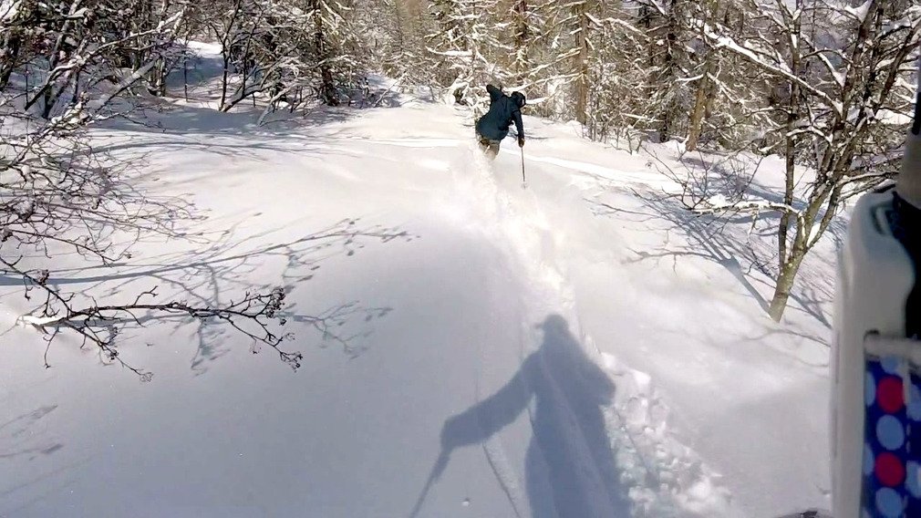 i kissed a tree... and i liked it