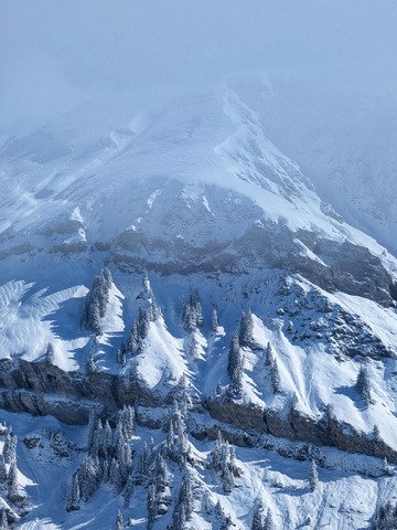 De la lumi&egrave;re &agrave; l'ombre