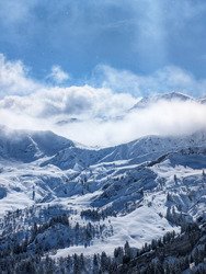 De la lumi&egrave;re &agrave; l'ombre