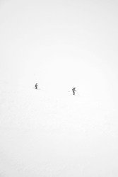 De la lumi&egrave;re &agrave; l'ombre