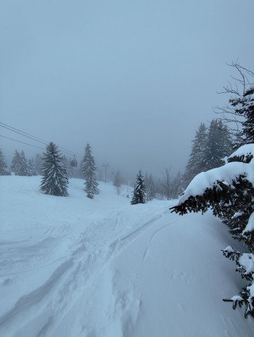 Un matin au paradis, un apr&egrave;s midi en... gal&egrave;re !
