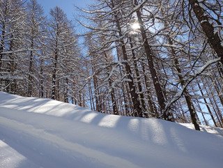 Retour d'est gagnant 