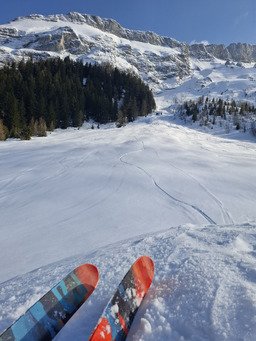 De l'ombre &agrave; la lumi&egrave;re 