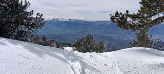 Entre l'hiver et le printemps