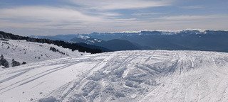 Entre l'hiver et le printemps