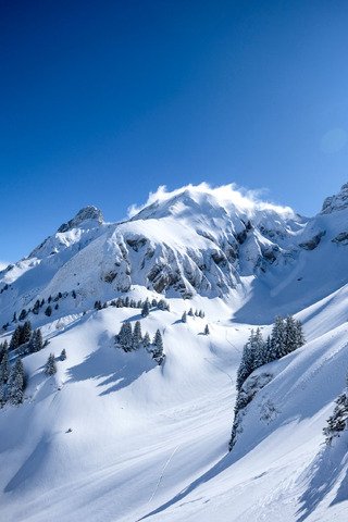 &Ccedil;a coulait de partout 