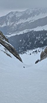 &Ccedil;a bastonne &agrave; Bostan 